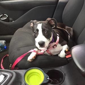 Meet your Posher, Melissa